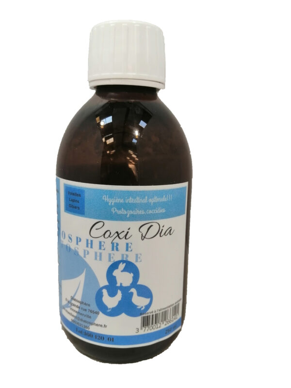 coxi-dia-1.jpeg