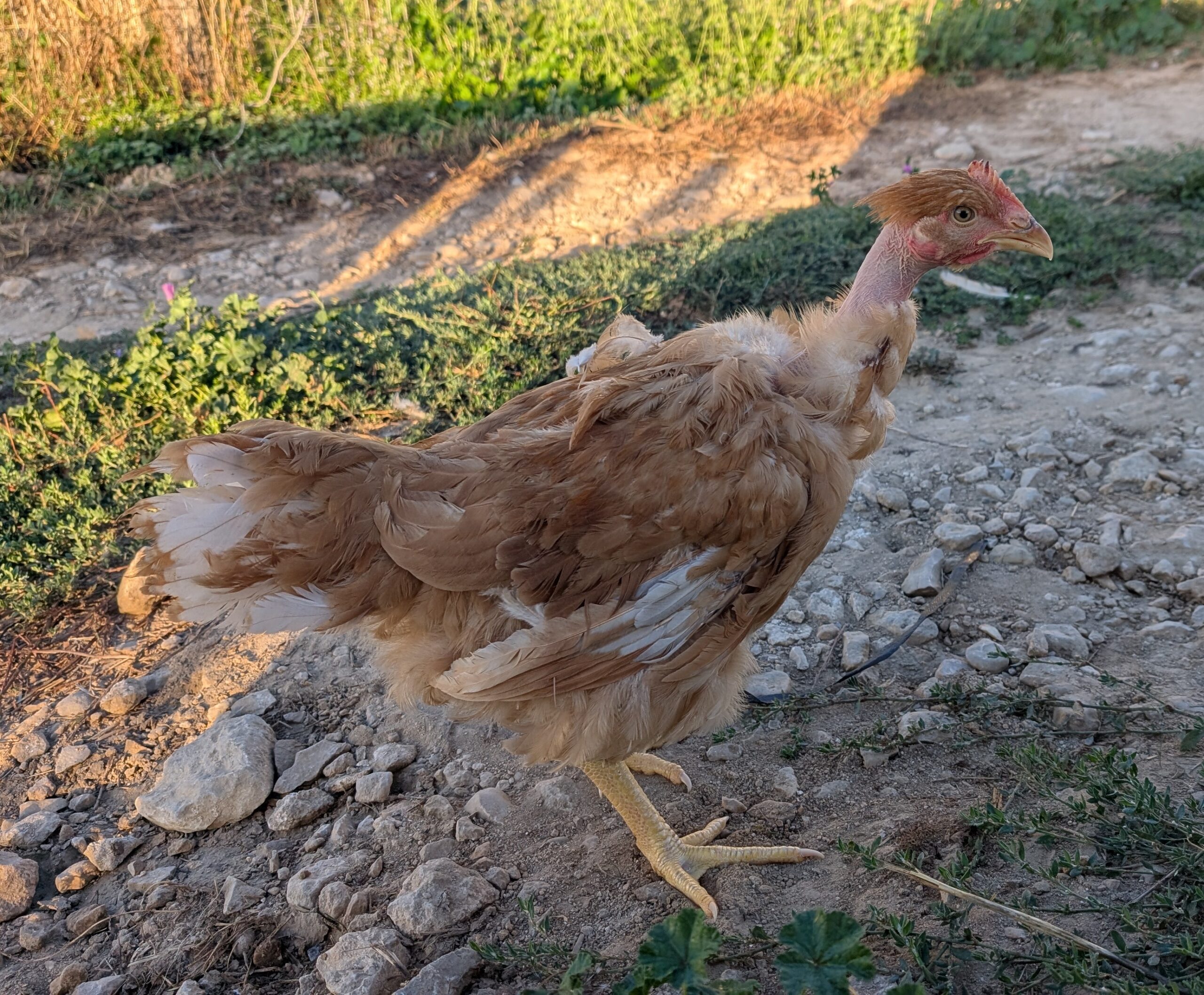 0e2ed749-ae0e-4d36-bc7e-46fd3fbddd26~1