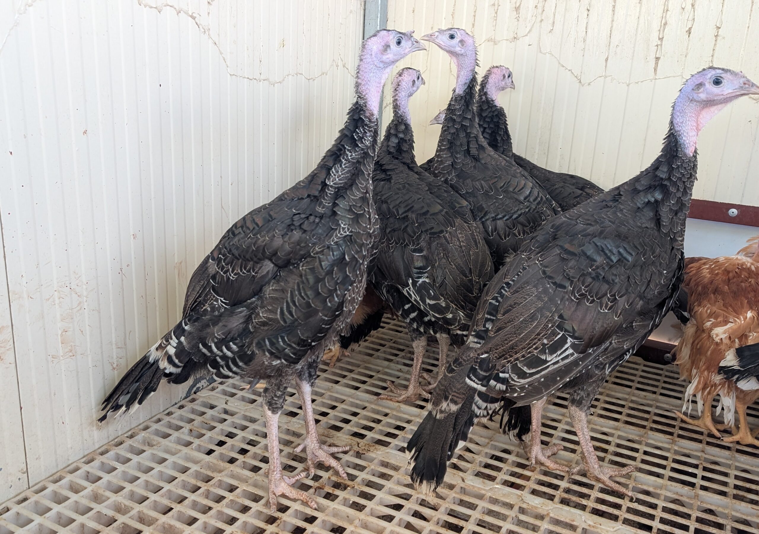 52d44278-dbc3-4a2b-a25e-8b4d7ad3e354~1