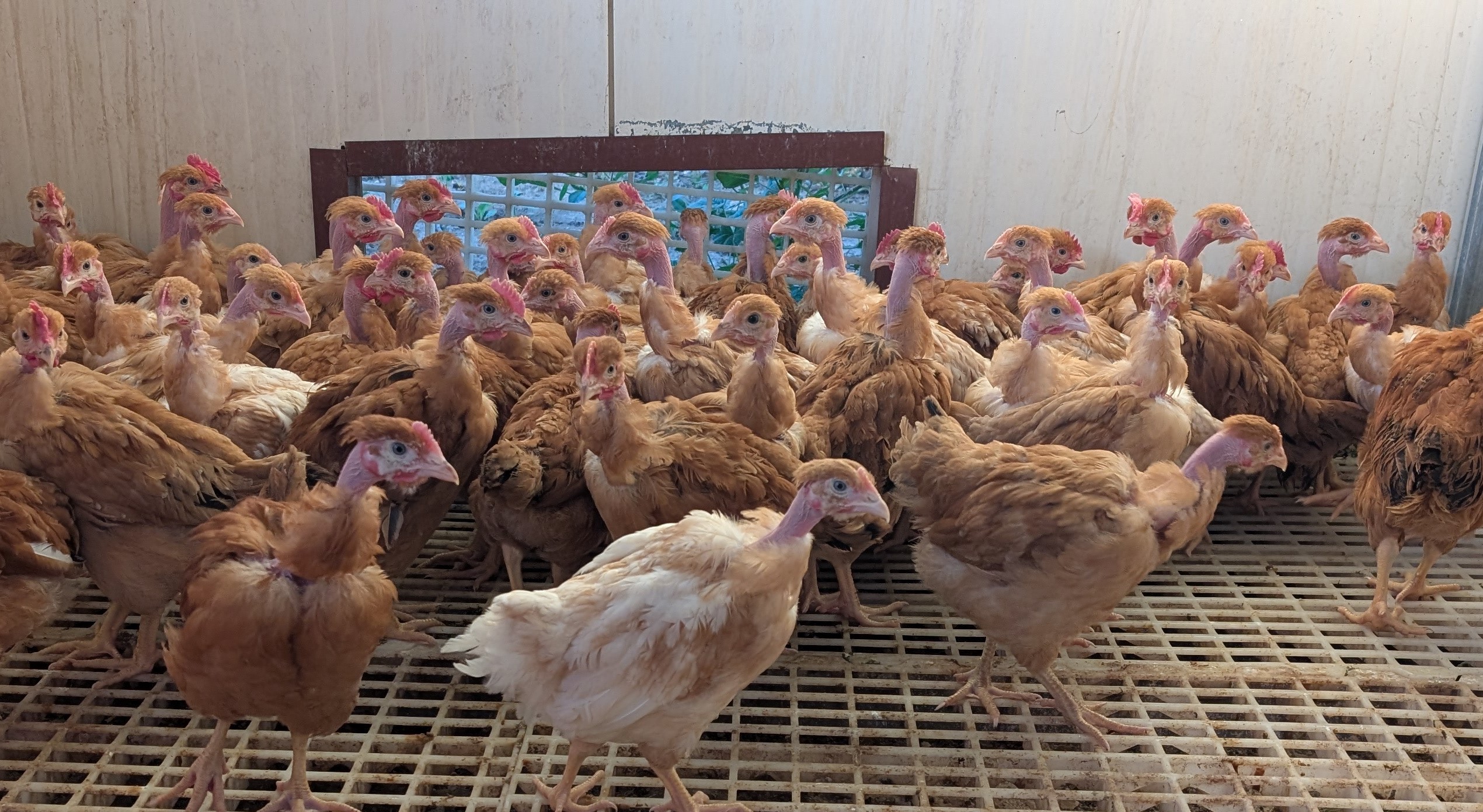 edfbf77a-4ae9-4b5e-8ec3-676254498c1a~1